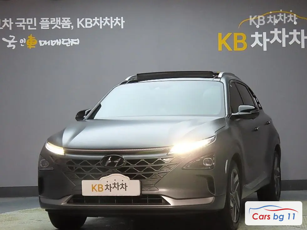 Hyundai NexoPremium