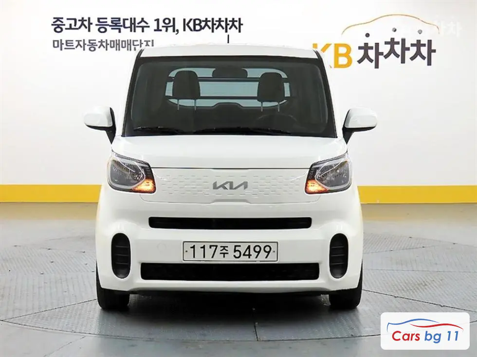 Kia The New Ray Van1.0 Gasoline Van 2-seater Standard