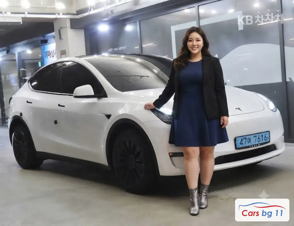 Tesla Model YLong Range