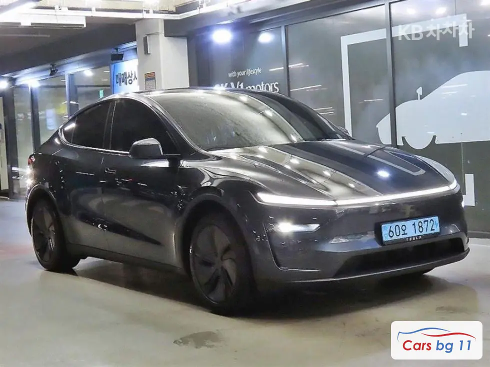 Tesla Model YLong Range