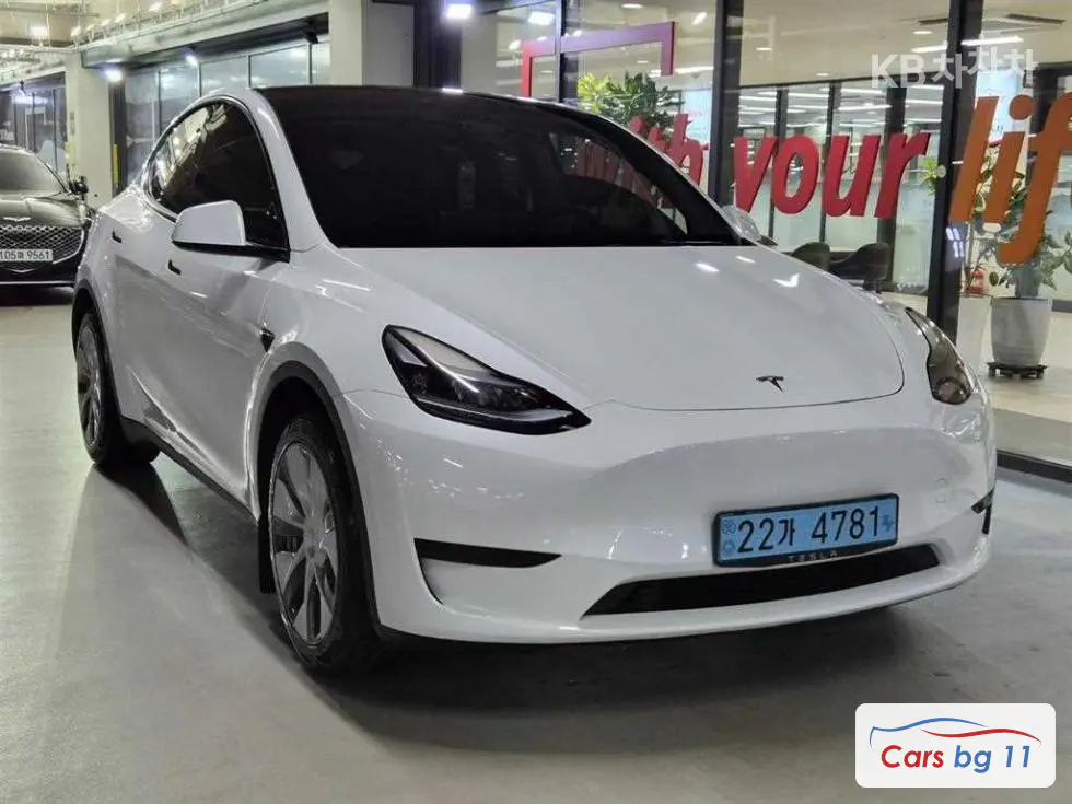 Tesla Model YRWD Standard