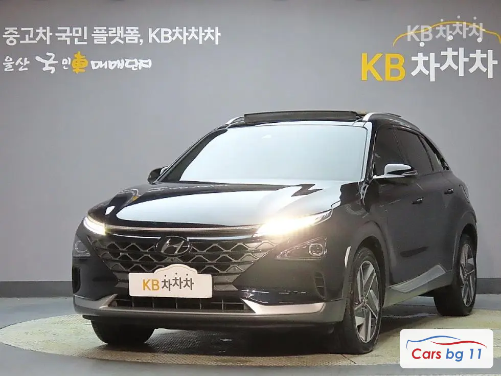 Hyundai NexoPremium