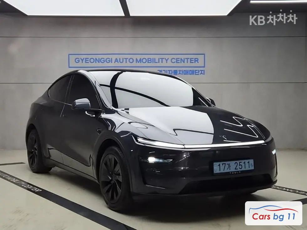 Tesla Model YLong Range