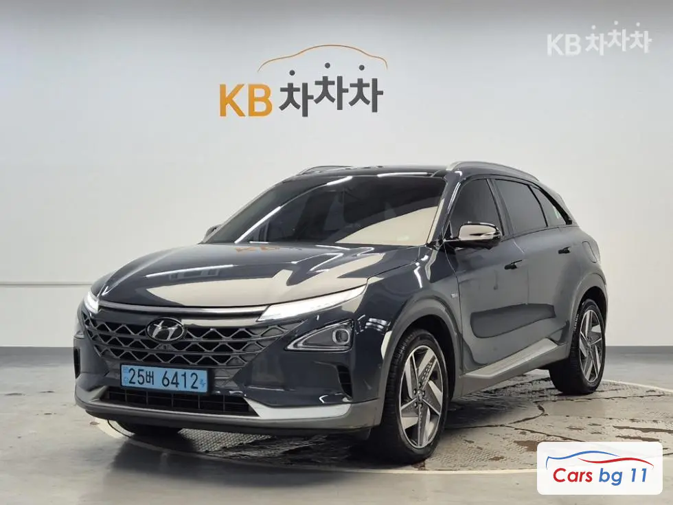 Hyundai NexoPremium