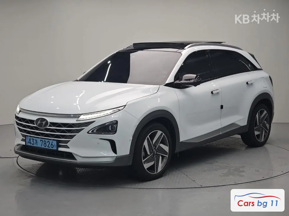 Hyundai NexoPremium