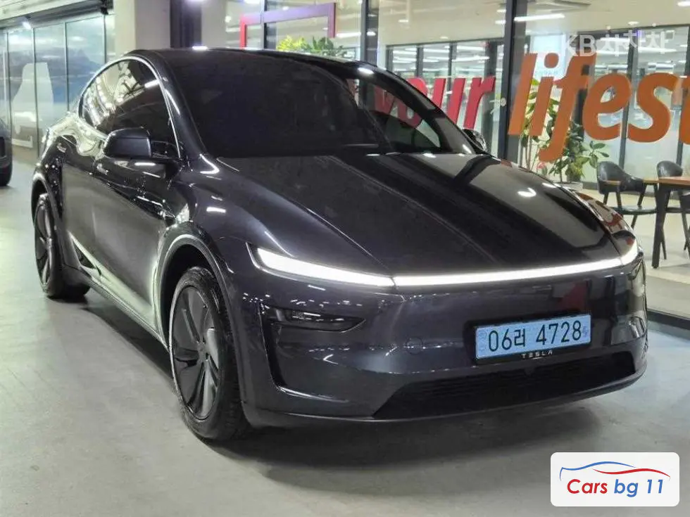Tesla Model YRWD Стандартен