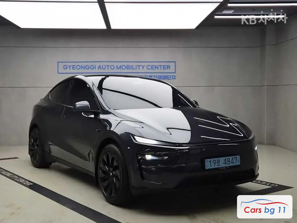 Tesla Model YLong Range